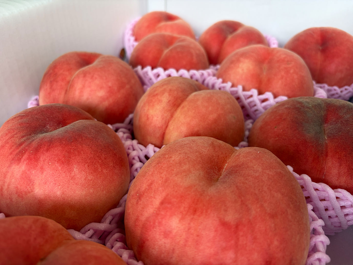 【数量限定ゲリラ販売!】【送料無料】青森県産 おどろき桃 特秀品5キロ箱