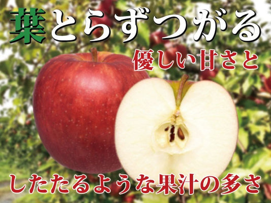 「樹上完熟葉とらずつがる」
