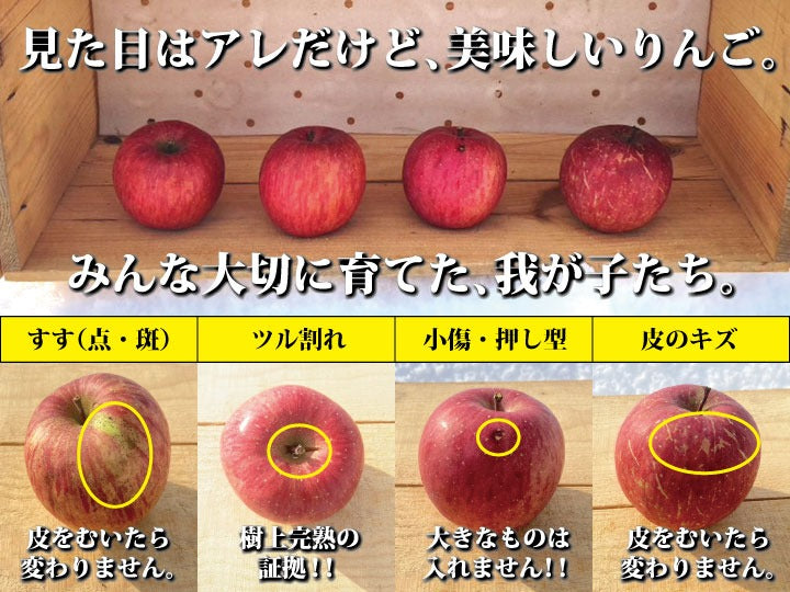 【送料込み】樹上完熟葉とらずシナノゴールド【甘酸っぱいりんご】