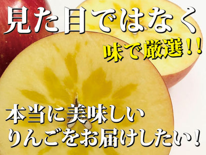 樹上完熟葉とらずふじ【りんごの王様】