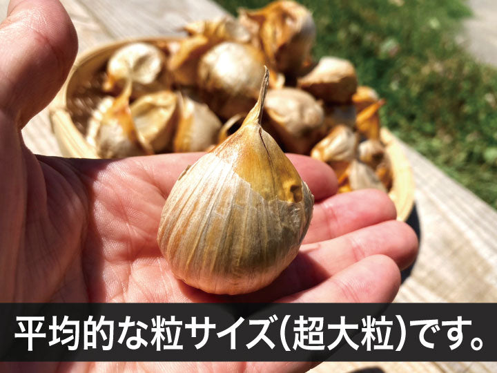 青森県産 最高級 かぐやの黒にんにく お試し100g袋