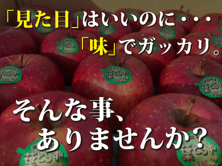 樹上完熟葉とらずふじ【りんごの王様】