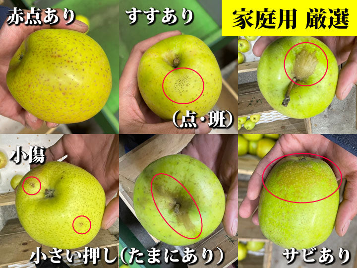 樹上完熟葉とらず王林【強い甘味と芳醇な香り】