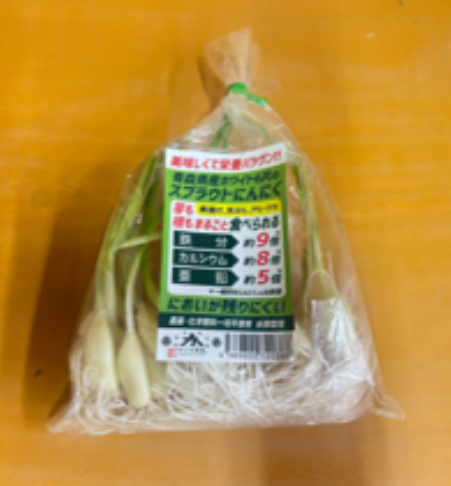 【数量限定予約商品】青森県産　スプラウトにんにく