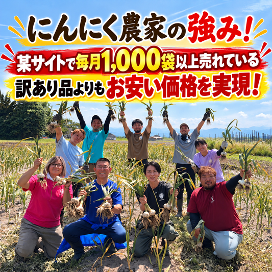 【大特価セール】青森県産 最高級 かぐやの黒にんにく お徳用500g袋
