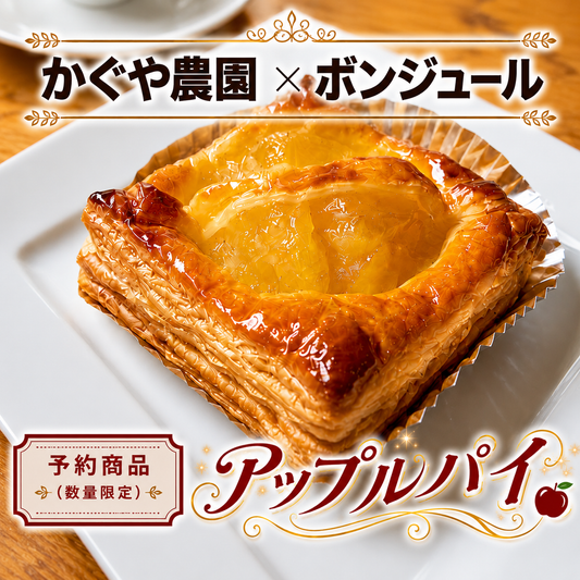 【予約・テスト販売】ボンジュールのアップルパイ（送料無料）