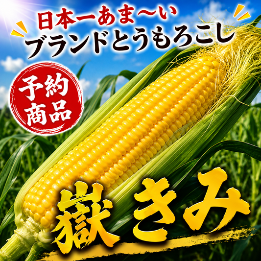 【予約商品】【送料無料】日本一あま～いブランドとうもろこし『嶽きみ』3kg箱(約10本入)