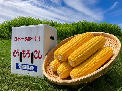 【予約商品】【送料無料】日本一あま～いブランドとうもろこし『嶽きみ』3kg箱(約10本入)