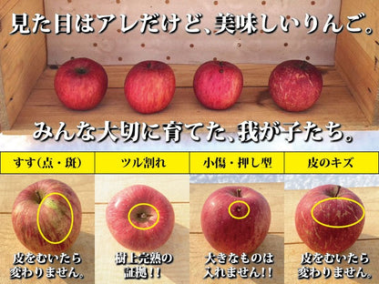 【特に甘～いりんご】青森県産「樹上完熟葉とらずつがる」