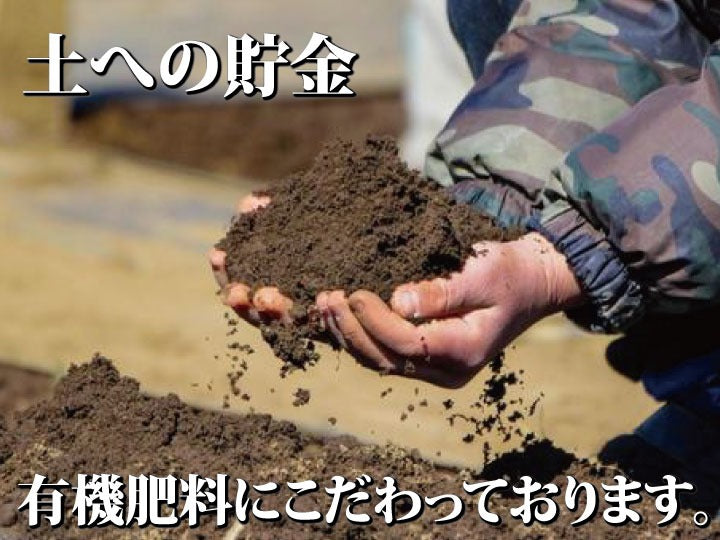 【特に甘～いりんご】青森県産「樹上完熟葉とらずつがる」