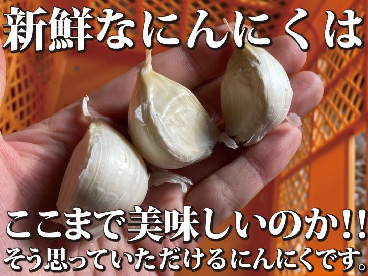 【累計10万箱突破！】青森県産バラにんにく 最高級品種ホワイト６片