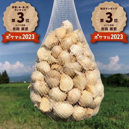 青森県産にんにく　バラ玉　１０ｋｇ　早い者勝ち 累計10万箱突破！】青森県産バラにんにく 最高級品種ホワイト6片