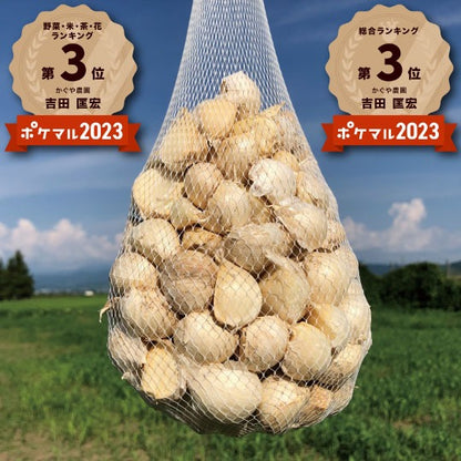 【累計10万箱突破！】青森県産バラにんにく 最高級品種ホワイト６片