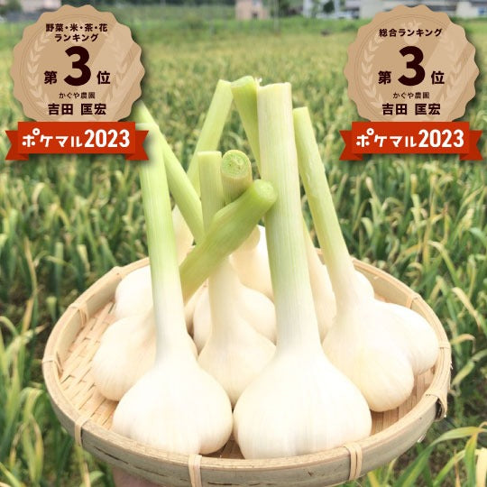 【ご予約限定！！】青森県産生にんにく 最高級品種ホワイト6片（同梱不可商品）