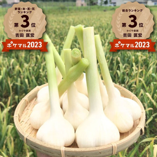 【ご予約限定！！】青森県産生にんにく 最高級品種ホワイト6片（同梱不可商品）