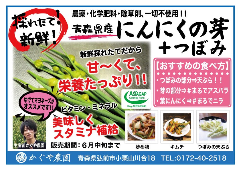 【予約限定】青森県産！農薬不使用のにんにくの芽＋葉＋つぼみ【令和８年新物！】（同梱不可商品）