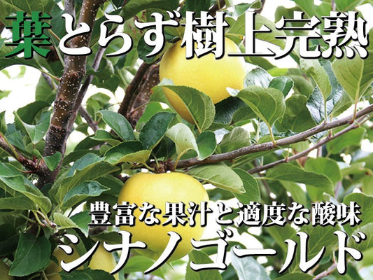 樹上完熟葉とらずシナノゴールド