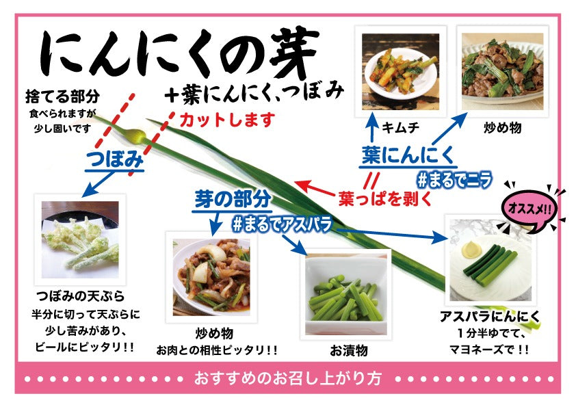 【予約限定】青森県産！農薬不使用のにんにくの芽＋葉＋つぼみ【令和８年新物！】（同梱不可商品）