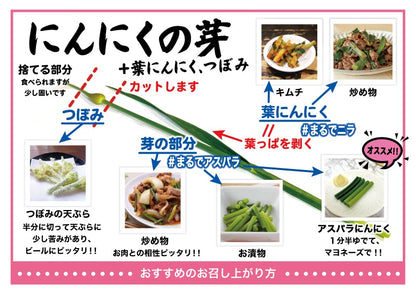 【予約限定】青森県産！農薬不使用のにんにくの芽＋葉＋つぼみ【令和８年新物！】（同梱不可商品）