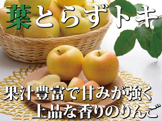 「樹上完熟葉とらずトキ」