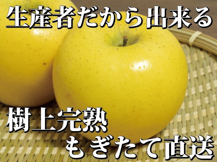 【送料込み】樹上完熟葉とらずシナノゴールド【甘酸っぱいりんご】
