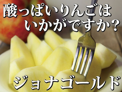 【毎年予約完売りんご】青森県産「樹上完熟葉とらずジョナゴールド」