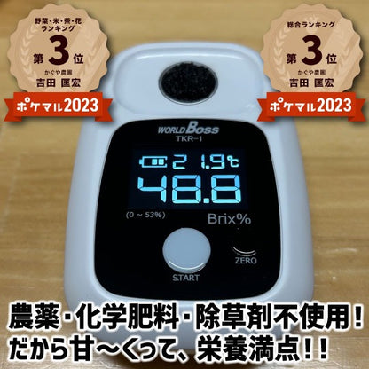 【万能調味料！】奇跡のブラックフルーツペースト【黒にんにく】