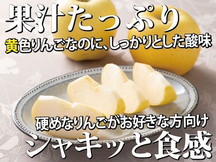 【送料込み】樹上完熟葉とらずシナノゴールド【甘酸っぱいりんご】