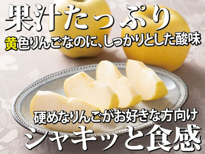 【送料込み】樹上完熟葉とらずシナノゴールド【甘酸っぱいりんご】