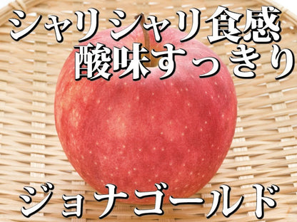 【毎年予約完売りんご】青森県産「樹上完熟葉とらずジョナゴールド」