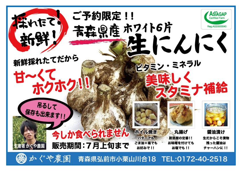 【ご予約限定！！】青森県産生にんにく 最高級品種ホワイト6片（同梱不可商品）