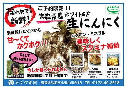 【ご予約限定！！】青森県産生にんにく 最高級品種ホワイト6片（同梱不可商品）