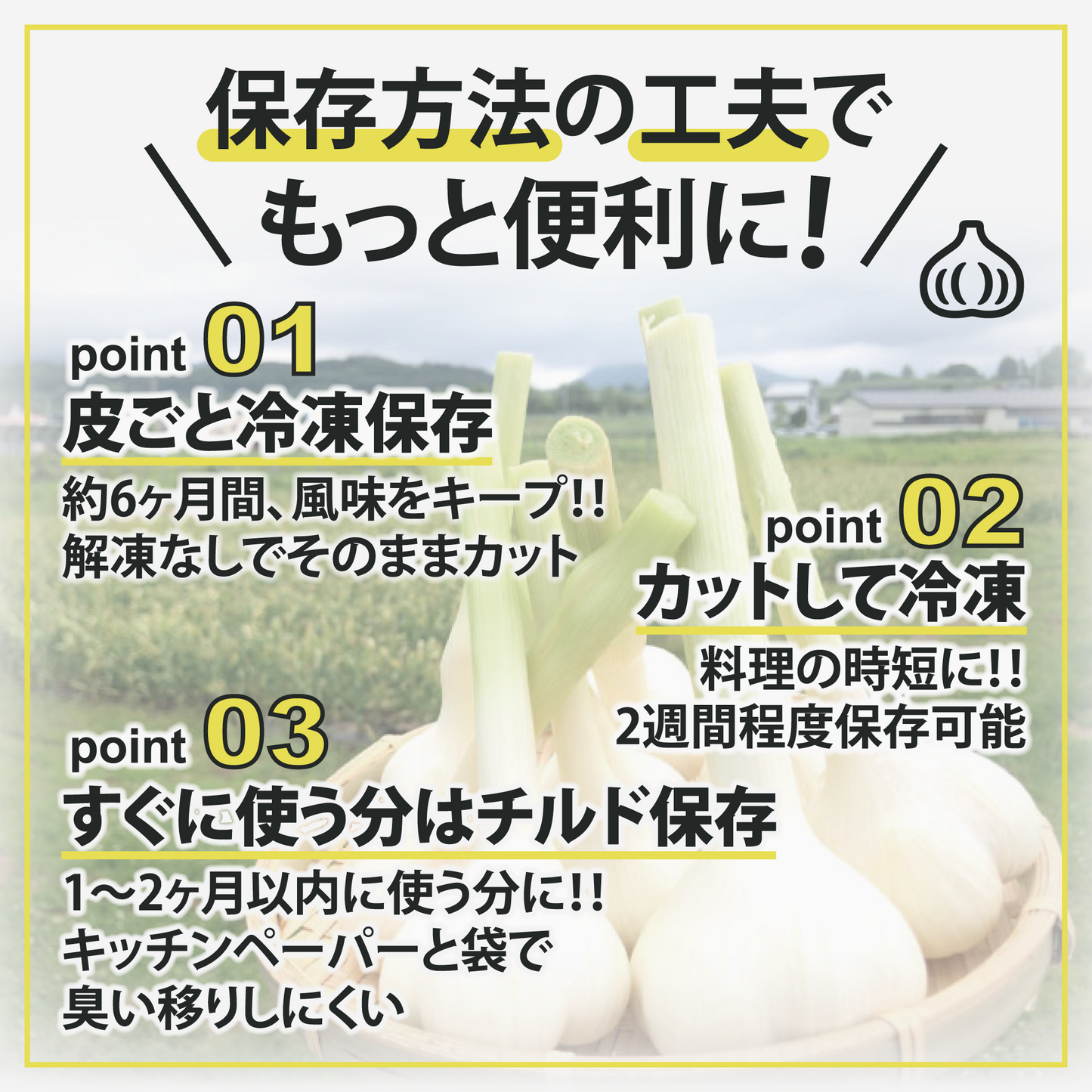 【累計10万箱突破！】青森県産バラにんにく 最高級品種ホワイト６片