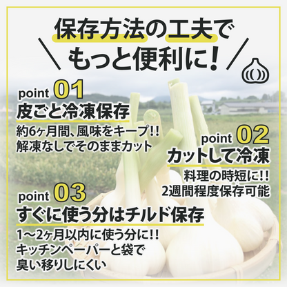 【累計10万箱突破！】青森県産バラにんにく 最高級品種ホワイト６片