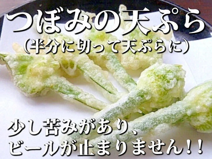 【予約限定】青森県産！農薬不使用のにんにくの芽＋葉＋つぼみ【令和８年新物！】（同梱不可商品）