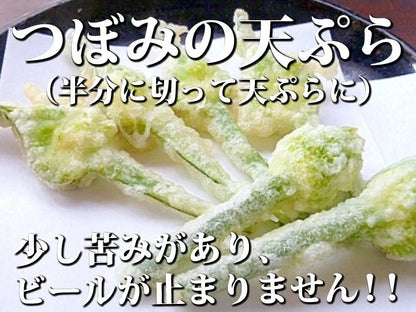 【予約限定】青森県産！農薬不使用のにんにくの芽＋葉＋つぼみ【令和８年新物！】（同梱不可商品）
