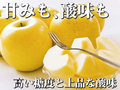【送料込み】樹上完熟葉とらずシナノゴールド【甘酸っぱいりんご】