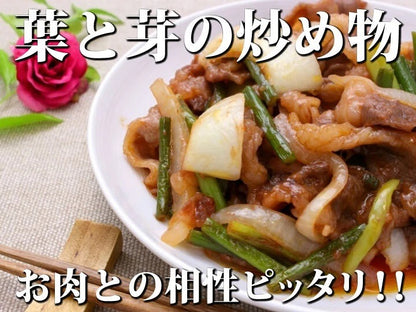 【予約限定】青森県産！農薬不使用のにんにくの芽＋葉＋つぼみ【令和８年新物！】（同梱不可商品）