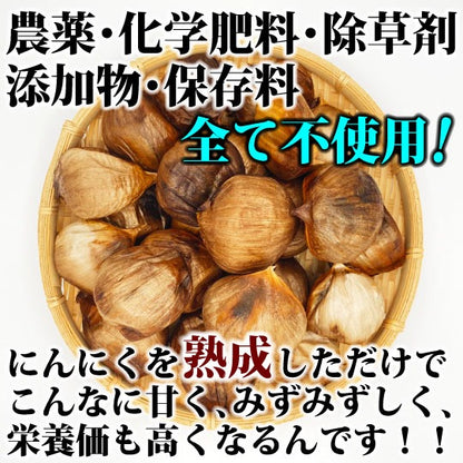 【万能調味料！】奇跡のブラックフルーツペースト【黒にんにく】