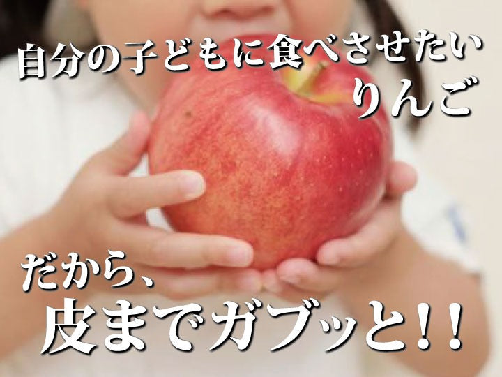 【毎年予約完売りんご】青森県産「樹上完熟葉とらずジョナゴールド」