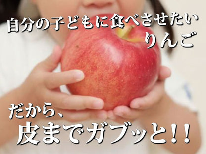 【毎年予約完売りんご】青森県産「樹上完熟葉とらずジョナゴールド」
