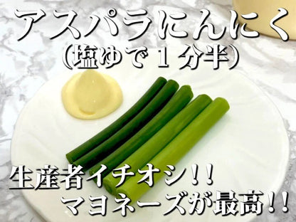 【予約限定】青森県産！農薬不使用のにんにくの芽＋葉＋つぼみ【令和８年新物！】（同梱不可商品）