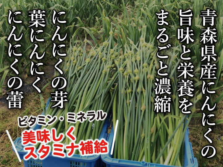 【大人気】青森のにんにく農家が本気出して作った「★にんにく七味★」