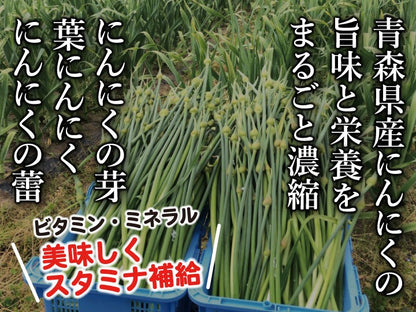 【大人気】青森のにんにく農家が本気出して作った「★にんにく七味★」