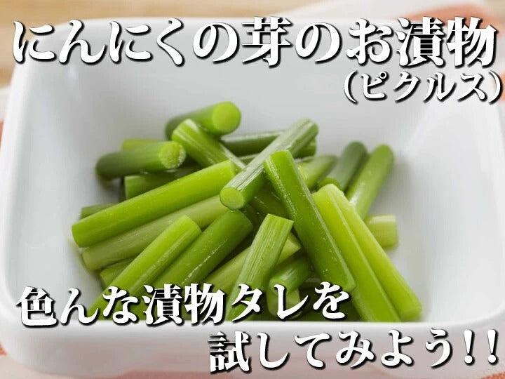 【予約限定】青森県産！農薬不使用のにんにくの芽＋葉＋つぼみ【令和８年新物！】（同梱不可商品）
