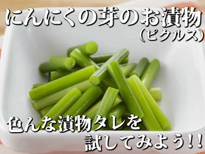 【予約限定】青森県産！農薬不使用のにんにくの芽＋葉＋つぼみ【令和８年新物！】（同梱不可商品）