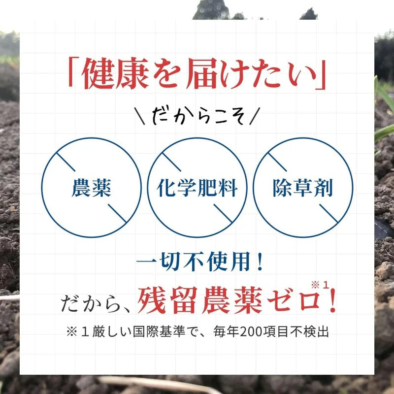 スペシャルプレゼント企画【送料無料】青森県産はちみつ黒にんにくジャム