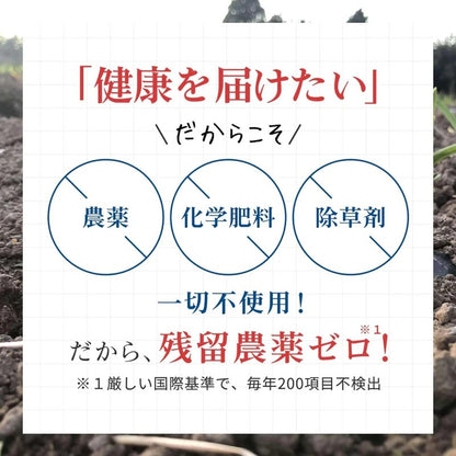 スペシャルプレゼント企画【送料無料】青森県産はちみつ黒にんにくジャム