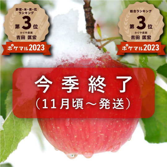 【最終売り尽くしSALE】【送料込み】樹上完熟葉とらずふじ