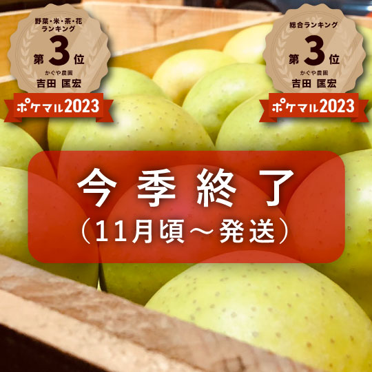 【送料込み】樹上完熟葉とらず王林【強い甘味と芳醇な香り】